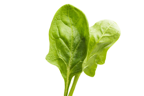 spinach isolated - Foto, afbeelding