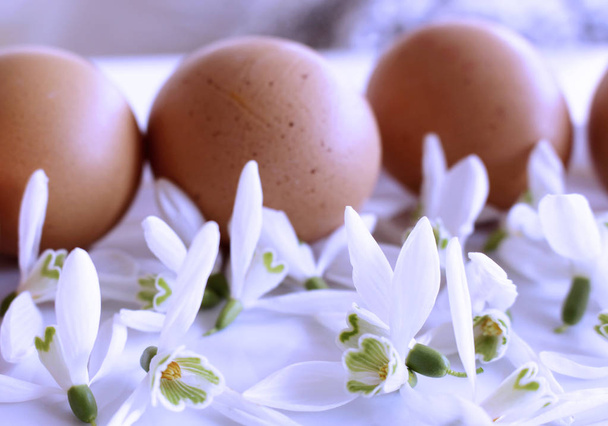 Welkom lente Happy Easter sneeuwklokjes en eieren op de witte achtergrond. Concept voor Pasen. Onscherpe achtergrond. - Foto, afbeelding