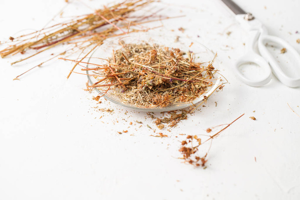 The dried herb Hypericum on a white table - Fotó, kép