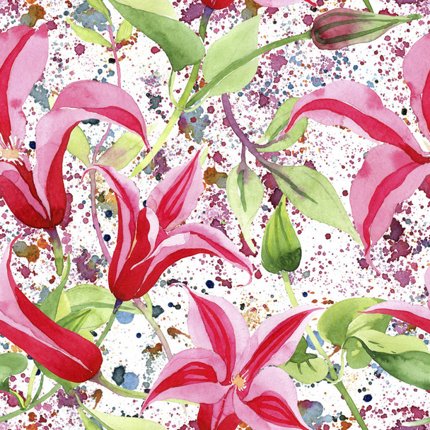 Red clematis. Floral botanical flower. Wild spring leaf wildflower pattern. - Photo, Image