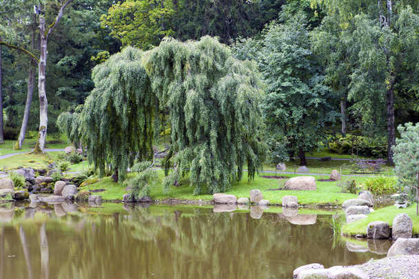 Ogród japoński w parku Kadriorg w Tallinie, Estonia - Zdjęcie, obraz