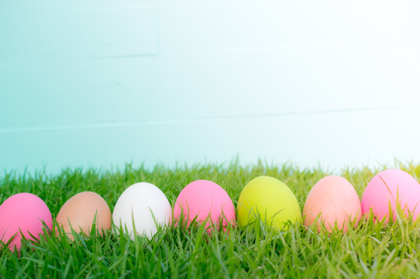 Easter concept. Green grass, easter eggs and web banner backgrou - Photo, Image