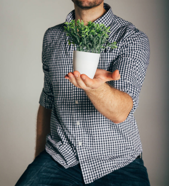 man holding plant in hand - 写真・画像