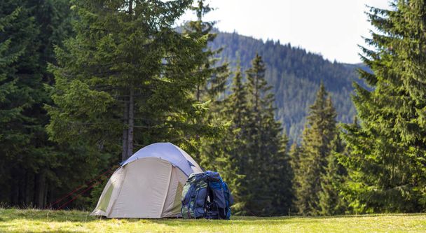 Toeristische Camping op groene weide met vers gras in de Karpaten Bos. Trekkers tent en rugzakken op Camping. Actieve levensstijl, outdoor activiteiten, vakantie, sport en recreatie concept. - Foto, afbeelding