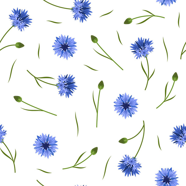 Seamless floral pattern with blue corn flowers on white background - Vector, Image