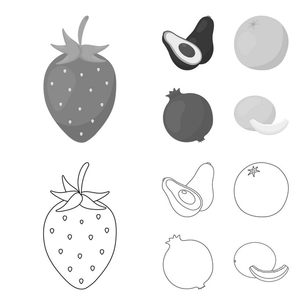 Strawberry, berry, avocado, orange, pomegranate.Fruits set collection icons in outline,monochrome style vector symbol stock illustration web. - Vettoriali, immagini