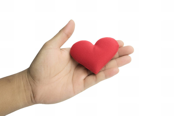 Heart put on hand health concept - Photo, Image