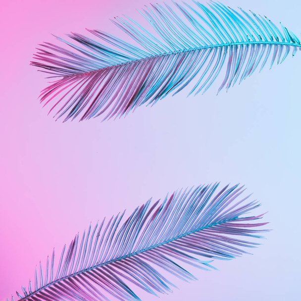 tropische en palm bladeren in levendige vet kleurovergang holografische neonkleuren, Concept art, minimale surrealisme  - Foto, afbeelding