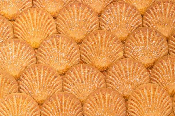 Υπόβαθρο των cookies με τη μορφή της ένα κέλυφος - Φωτογραφία, εικόνα