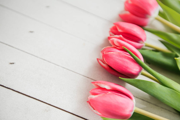 Весна кохання романтика Tulip - Фото, зображення