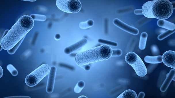 Schwimmende Bakterien mikroskopische 3D-Animation - Filmmaterial, Video