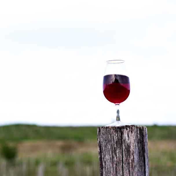 A glass of red wine  against a background of vineyards.  - Foto, afbeelding