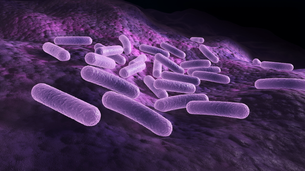 Bactéries posées sur une surface, animation 3D microscopique rendue
  - Séquence, vidéo