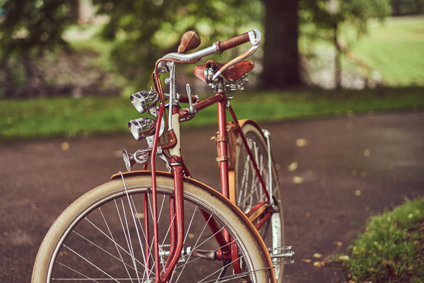 Kép egy piros vintage kerékpár a Városligetben. - Fotó, kép