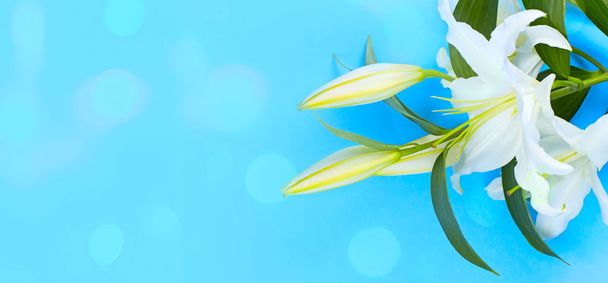 Banner Luonnollinen kukkakimppu liljat sinisellä taustalla
. - Valokuva, kuva