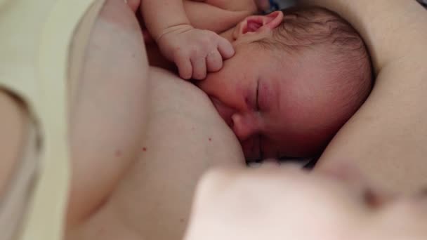 Mãe está deitada com o recém-nascido recém-nascido recém-nascido e alimentá-lo com um peito segurando sua pequena mão
. - Filmagem, Vídeo