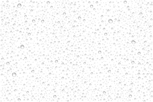 Gotas de água realistas vetoriais condensadas
 - Vetor, Imagem