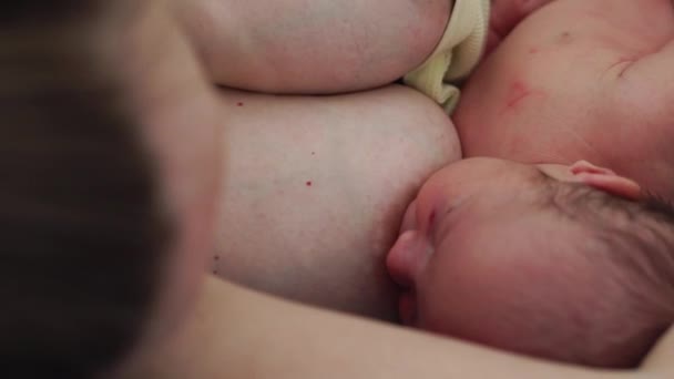 Maman est couchée avec le nouveau-né qui vient de naître et l'allaite avec un sein tenant sa petite main
. - Séquence, vidéo