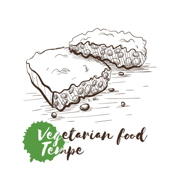 Vector hand drawn sketch of vegetarian food with food name. - Vector, Image