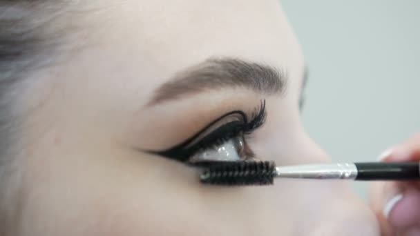 Maquiagem artista aplicando maquiagem cílios para os modelos de olho. Vista de perto
. - Filmagem, Vídeo