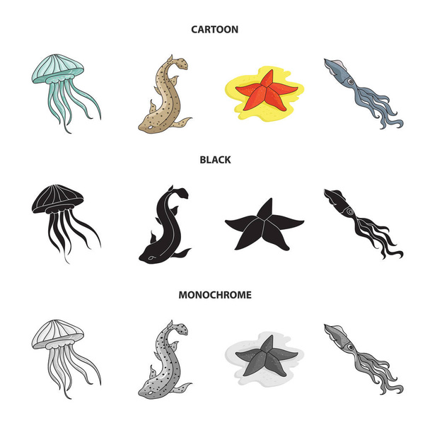 Jellyfish, squid and other species.Sea animals set collection icons in cartoon,black,monochrome style vector symbol stock illustration web. - Vector, Image
