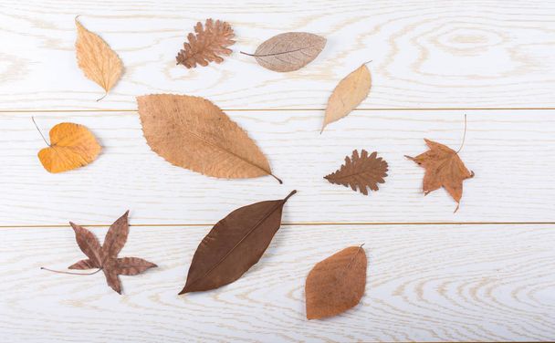 Trockene Herbstblätter auf Holzplatten platziert - Foto, Bild