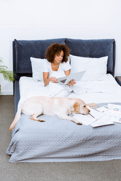 afrikai-amerikai nő dolgozik laptop vele kutya ágy - Fotó, kép