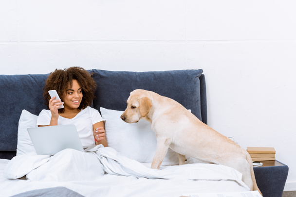 woman working with laptop and talking by phone in bed with her dog - Photo, Image