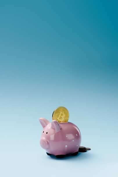 Close up view of pink piggy bank and golden bitcoin on blue backdrop - Foto, imagen