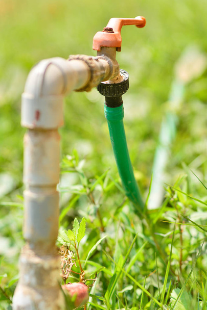 Manguera conectada a la tubería de agua en la hierba verde. La manguera es verde y el tubo dorado con llave roja
. - Foto, Imagen