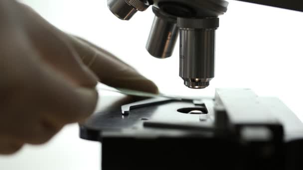 Ένας επιστήμονας τοποθετώντας ένα δείγμα κάτω από ένα μικροσκόπιο - Πλάνα, βίντεο