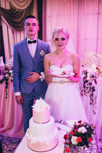 The newlyweds cut the wedding cake. - Fotoğraf, Görsel