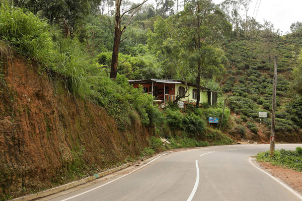 Mountain village in Horten Plains in Sri Lanka - Photo, Image