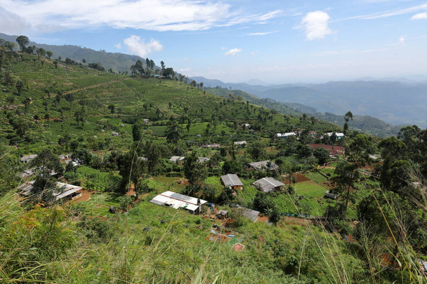 Hegyi falu, Horten síkságok, Srí Lanka - Fotó, kép