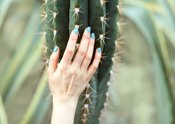 The hand holds a large cactus, beauty concept. Art Contemporary - Fotó, kép