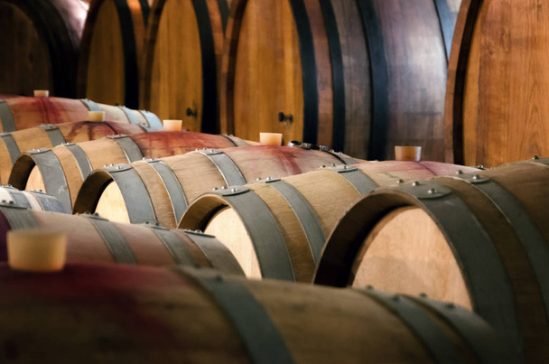 ピエモンテ (イタリアの歴史あるワインセラーで樽) - 写真・画像