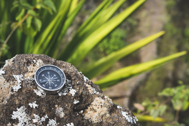 Navigation concept - Analogical compass laying on the rocky stone. Agave plant leaves in background - Foto, Imagem