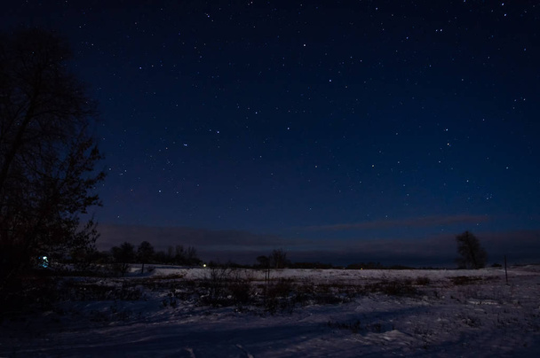 Céu estrelado sobre um campo coberto de neve. - Foto, Imagem