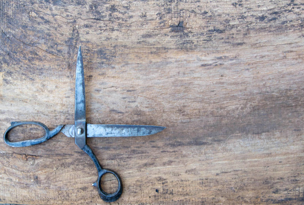 Leather tool, Professional scissors - Photo, Image