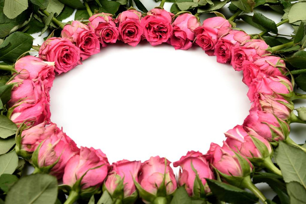 Em um fundo branco é forrado com flores de rosas rosa um círculo duplo no centro de um lugar livre para a inscrição
. - Foto, Imagem