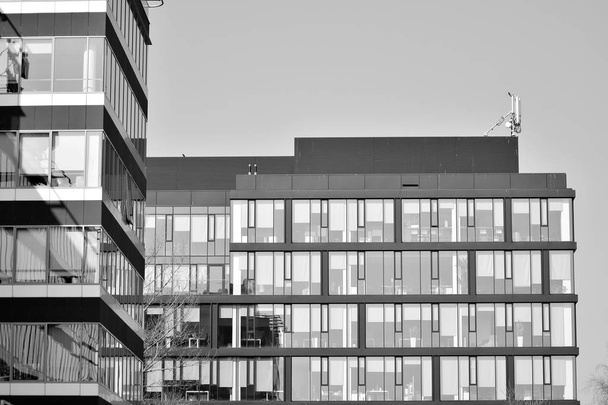 Modern city office building exterior. Black and white. - Photo, Image