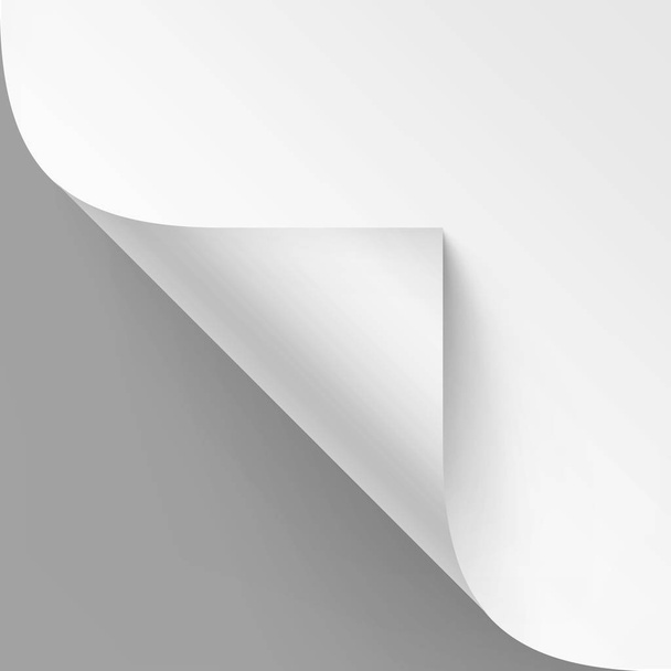 灰色の背景にホワイト ペーパーではシャドウ間近で分離されたモックアップのベクトル Curled コーナー - ベクター画像