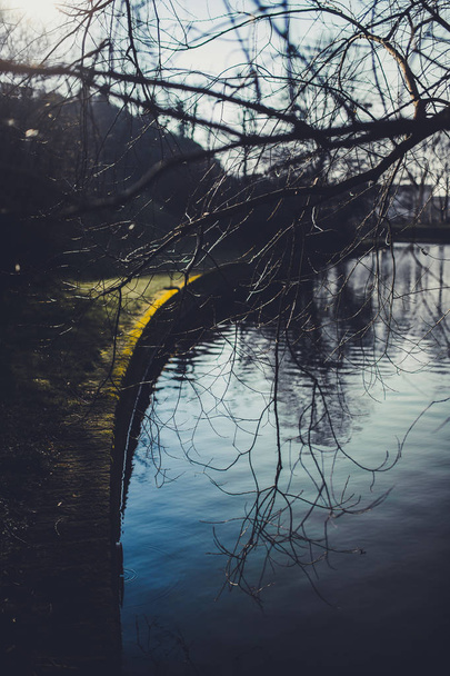 φθινοπωρινό πάρκο με δέντρα και ήρεμο ποτάμι στην πόλη Δρέσδη στη Γερμανία - Φωτογραφία, εικόνα