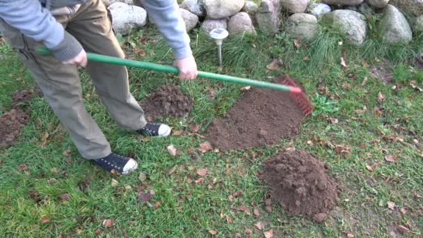 Gardener in autumn with rake removing molehills - Footage, Video