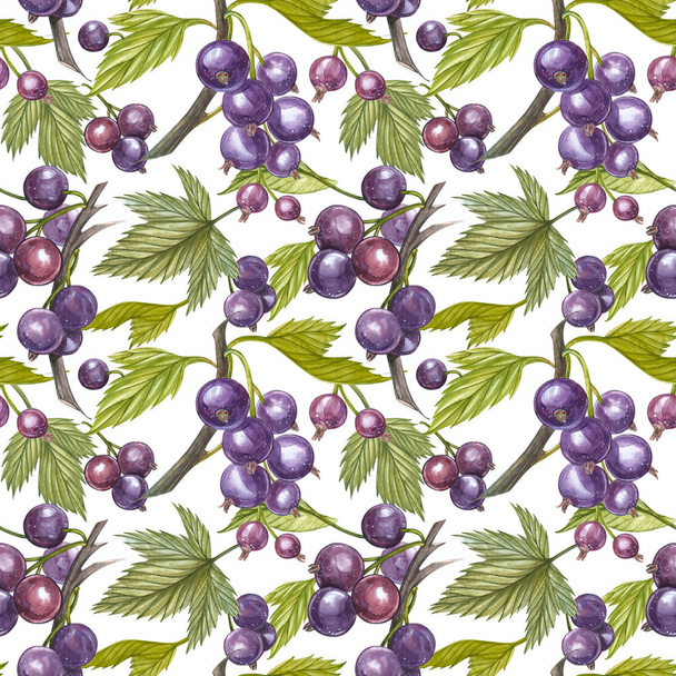 Blackcurrant with leaf isolated on white background. Hand-drawn watercolor illustration. Seamless pattern. - Фото, изображение