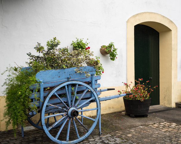 Carro anticuado para caballo con flores por pared blanca vieja
 - Foto, Imagen