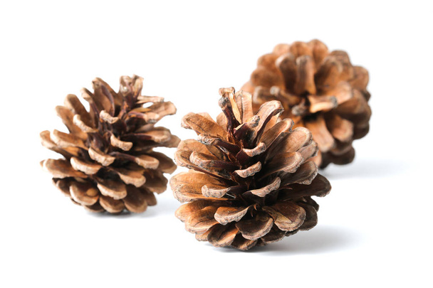 Three pine cones isolated on white - Foto, Imagem