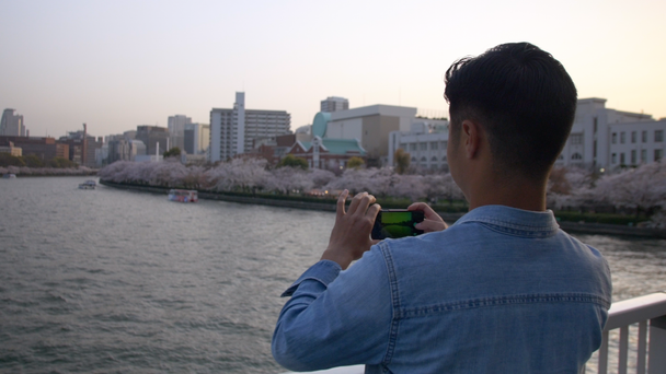 Όμορφος άνδρας λαμβάνοντας φωτογραφίες από όμορφα sakura από μια γέφυρα. - Πλάνα, βίντεο