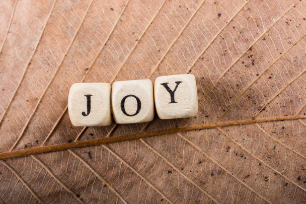 Textové zprávy znění slovo radost na list - Fotografie, Obrázek