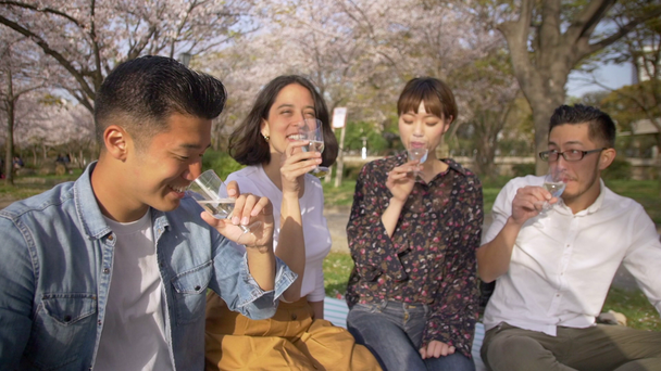 Japanilaiset ja kansainväliset ystävät juhlivat kevättä kirsikankukkien alla
. - Materiaali, video